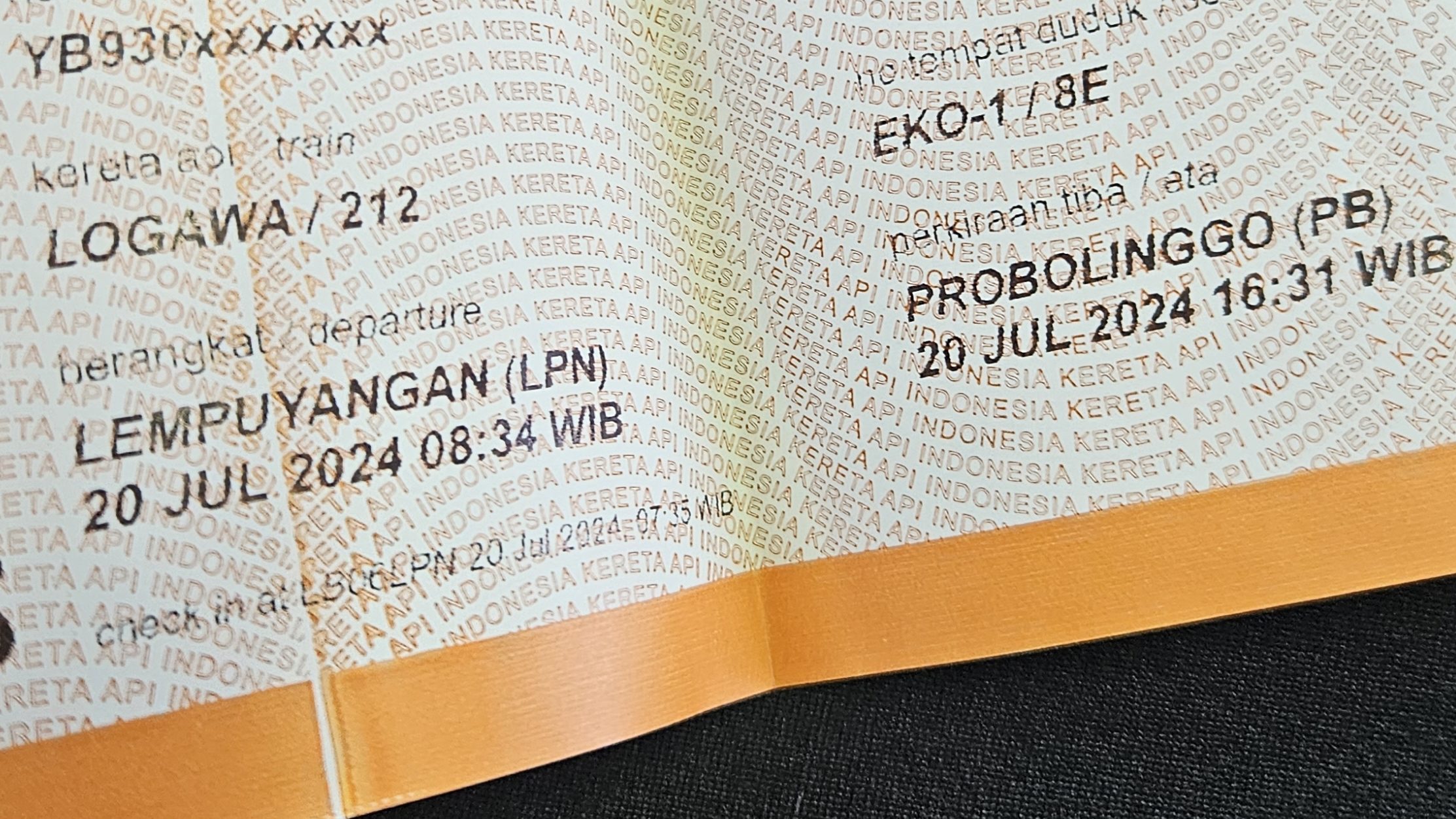 biglietto stampato da esibire al controllore